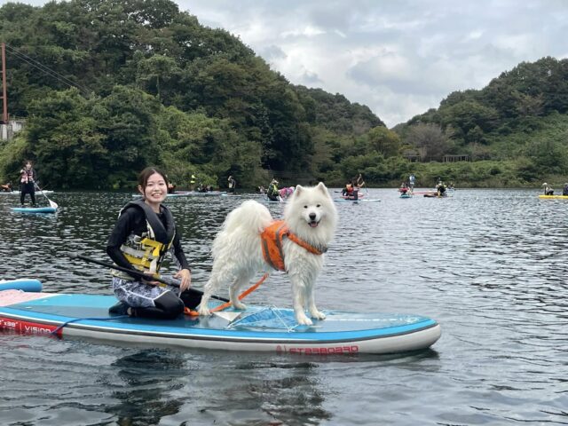 犬と自然と人主催DOG SUP SESSION開催‼