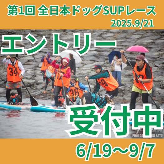 【第1回　全日本ドッグSUPレース】エントリー受付開始