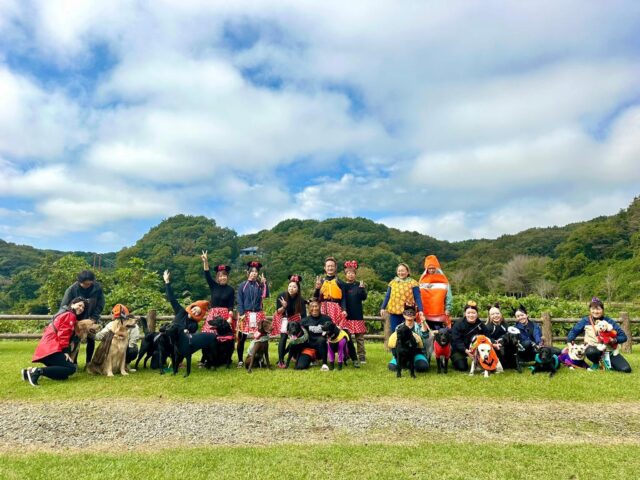 2025.10.12　犬と自然と人　ハロウィンSUPツアー開催‼️