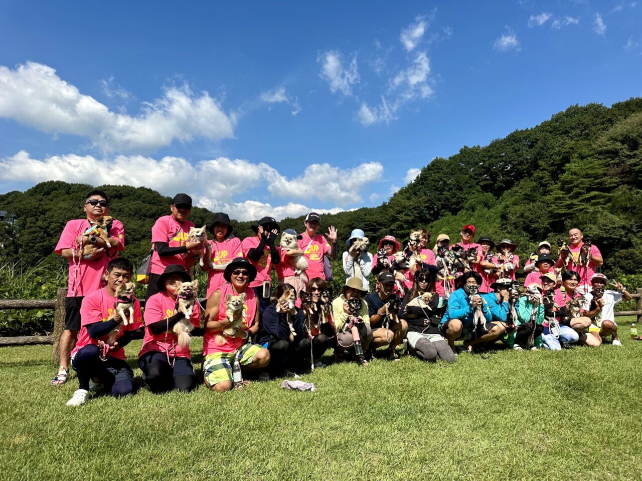 チワワオフ会 チワワオフ会