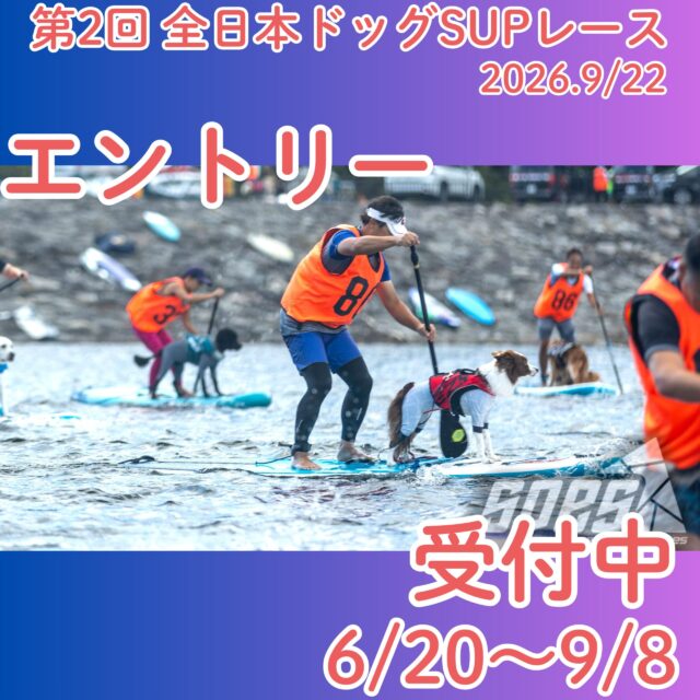 【第2回　全日本ドッグSUPレース】エントリー受付開始