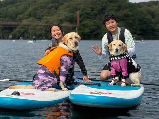 ドッグSUP感謝祭💕開催いたしました🐶 ドッグSUP感謝祭💕開催いたしました🐶