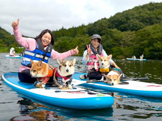 ドッグSUP感謝祭💕開催いたしました🐶 ドッグSUP感謝祭💕開催いたしました🐶