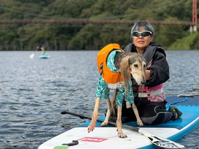 ドッグSUP感謝祭💕開催いたしました🐶 ドッグSUP感謝祭💕開催いたしました🐶