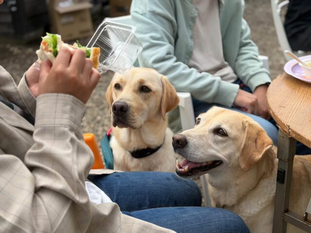 ドッグSUP感謝祭💕開催いたしました🐶 ドッグSUP感謝祭💕開催いたしました🐶